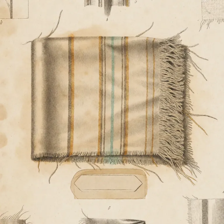Feuille de spécimen : un fragment d'étoffe tissée à rayures, effrangé sur un bord.